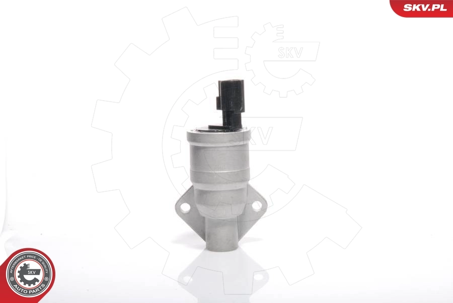Idle Control Valve, air supply